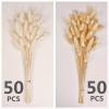 120 PCS Bunny Tails Dried Flowers, Dried Pampas Grass Bouquet, Boho Table Decor, White Pampas Grass small, dried bunny tails, Pampas Grass for Wedding, Home, Rustic Party, Baby Shower Decorations view 3