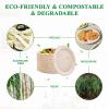 Vplus 100% Compostable Oval Paper Plates 10 inch 125 Pack Super Strong Disposable Paper Plates Bagasse Natural Biodegradable Eco-Friendly Sugarcane for BBQ, Party, Gathering, and Picnic view 3