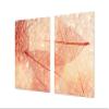 Gigantic Worktop saver - Tempered GLASS Cutting Board; MEASURES: SINGLE: 80 x 52 cm (31,5 x 20,47); DOUBLE: 40 x 52 cm (15,75 x 20,47); DD44 Nature series view 1
