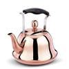 Tea Kettle Stovetop Whistling Stainless Steel Whistling Tea Kettle for Stove Top Induction Stainless Steel Teapot Gas Stovetop Water Kettle Whistle Modern Cookware (Color : B, Size : 5l) view 1