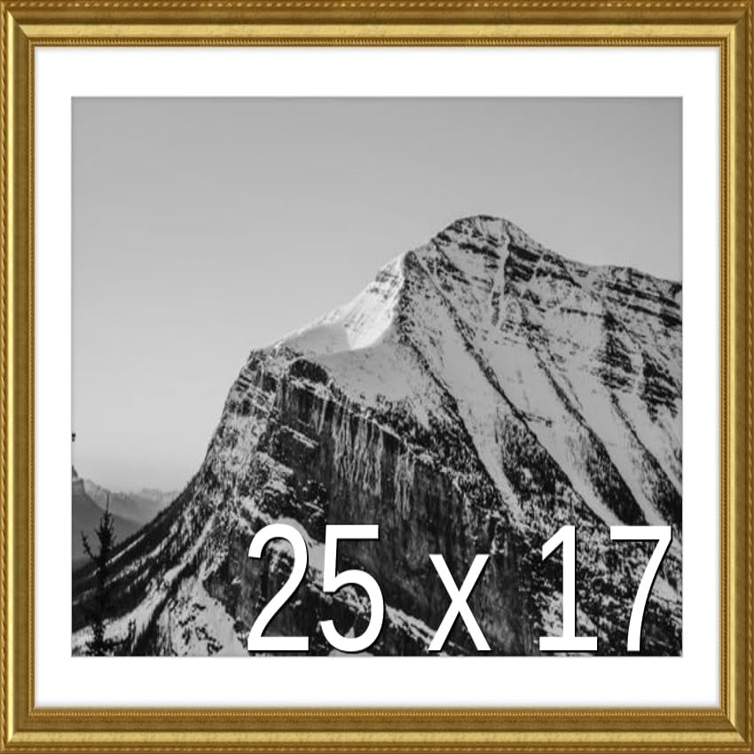 Frame It Easy 25 x 17 Gold Natural WoodFrame (Granby) with Matting
