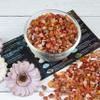 Crocon 1 LB Crushed Carnelian Chips Bulk Stones 2000+ Carats Natural Quartz Pieces Irregular Shape Gemstones for House Warming Gifts New Home and Chakra healing crystals Home Dcor gifts for women view 3