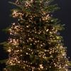 Dazzle Bright 132FT 400 LED Christmas Lights, Christmas String Lights Plug in with 8 Modes, Waterproof Christmas Decorations for Xmas Indoor Outdoor Party Home Tree Decor, Warm White view 4