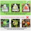 Boao 200 Pcs Fruit Protection Bags Fruit Netting Bags with Drawstring for Protecting Vegetable Net Cover Reusable Mesh Bag for Garden Apple Trees(6 x 10 Inch,White) view 4