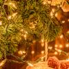 mimigogo 50-Count White Christmas Lights with Green Wire,Mini String Lights for Holiday Decorations, Christmas Tree Lights, Holiday Party, Wedding, Xmas, Home, Indoor & Outdoor Use (13ft Long) view 2