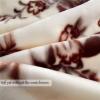 9 Lbs Mink Blanket East Asian Style -79x91inch,Super Soft Cozy, Plush Fleece Blanket, 750GSM Thick Warm Blanket for Full/Queen Bed, Couch. view 2