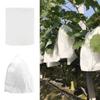 50pcs Grape Protection Bag Net Bags, for Vegetable Fruit Protect Breeding Bag Prevent Fruit Tree Mosquitoes view 3