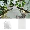 50pcs Grape Protection Bag Net Bags, for Vegetable Fruit Protect Breeding Bag Prevent Fruit Tree Mosquitoes view 4