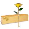 Forever Rose Gold Trimmed Yellow Open Bloom Real Rose Dipped in 24K Gold, Ready to Gift, Presented in Luxury Gift Box with Bow, Unique & Everlasting Gift for Any Occasion view 1
