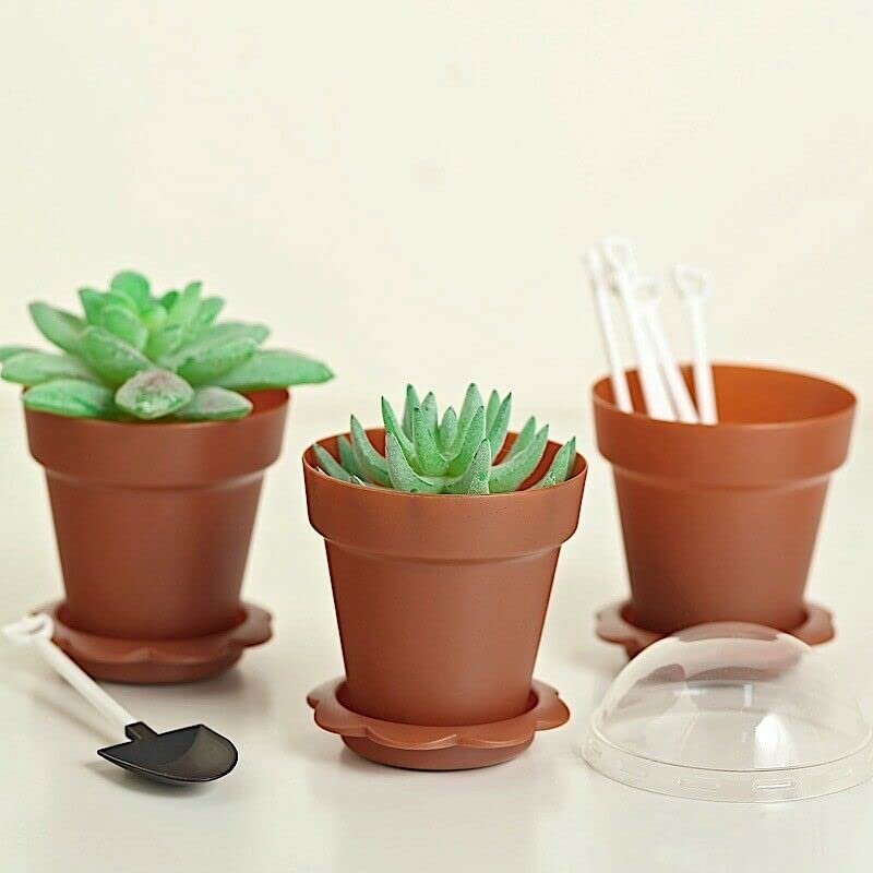 12 Terracotta Mini Flower Pot Dessert Cups Lid Shovel Spoon Party Decorations