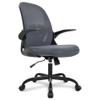 Primy Office Chair Ergonomic Desk Chair with Adjustable Lumbar Support and Height, Swivel Breathable Desk Mesh Computer Chair with Flip up Armrests for Conference RoomDark Gray view 1