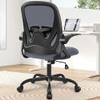 Primy Office Chair Ergonomic Desk Chair with Adjustable Lumbar Support and Height, Swivel Breathable Desk Mesh Computer Chair with Flip up Armrests for Conference RoomDark Gray view 2