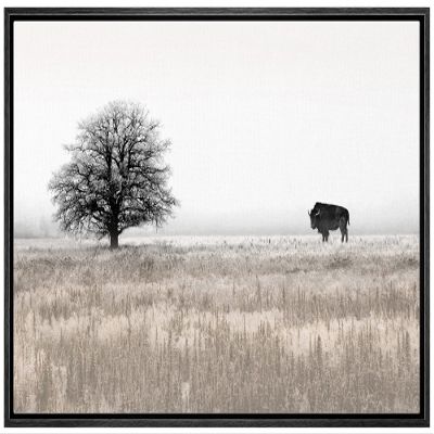 SIGNLEADER Framed Canvas Print Wall Art Countryside Bison Buffalo Tree Landscape Animals Wildlife Digital Art Realism Decorative Rustic Relax/Calm for Living Room, Bedroom, Office - 16"x24" Black