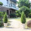 3ft Artificial Topiary Trees Artificial Cedar Trees UV Resistant Bushes Potted Set of 2 Faux Shrubs for Outdoor Indoor Front Porch Garden view 2