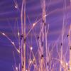 Anderson's Small Lighted Birch Tree Cluster, Fake Trees, Wedding Decorations view 2