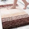 Arotive Microfiber Bathroom Rugs, Shaggy Soft and Absorbent Bath Rug, Non-Slip, Thick Plush Machine Washable Dry Bath Mats for Bathroom, Tub and Shower, 30x20, Brown, Rectangular view 1