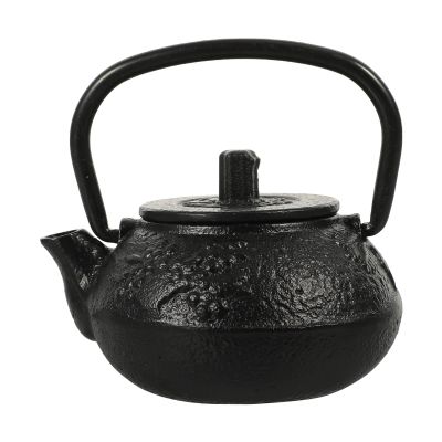 Cast Iron Tea Kettle Decorative Small Kung Fu Teapot Infuser Stovetop Safe Enameled Interior Tea Brewing for Office Stove