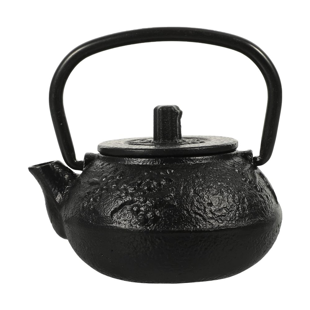 Cast Iron Tea Kettle Decorative Small Kung Fu Teapot Infuser Stovetop Safe Enameled Interior Tea Brewing for Office Stove