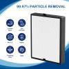 45i True HEPA Replacement Filter Compatible with BreatheSmart Flex and 45i Air Cleaner Purifier, 2 HEPA Filters with 2 Carbon Pre-Filters, B4-Pure Filter Part # B4-Fresh / FL40-Silver-Carbon, 2 Pack view 2