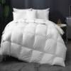 9.8 NEWTON Premium Quilted All Season Down Alternative Comforter 1000-TC 100% Microfiber Cotton with Corner Tabs Eastern King Size Quilt Set Bedspread 128x120 Solid/Plain Comforter Set view 1