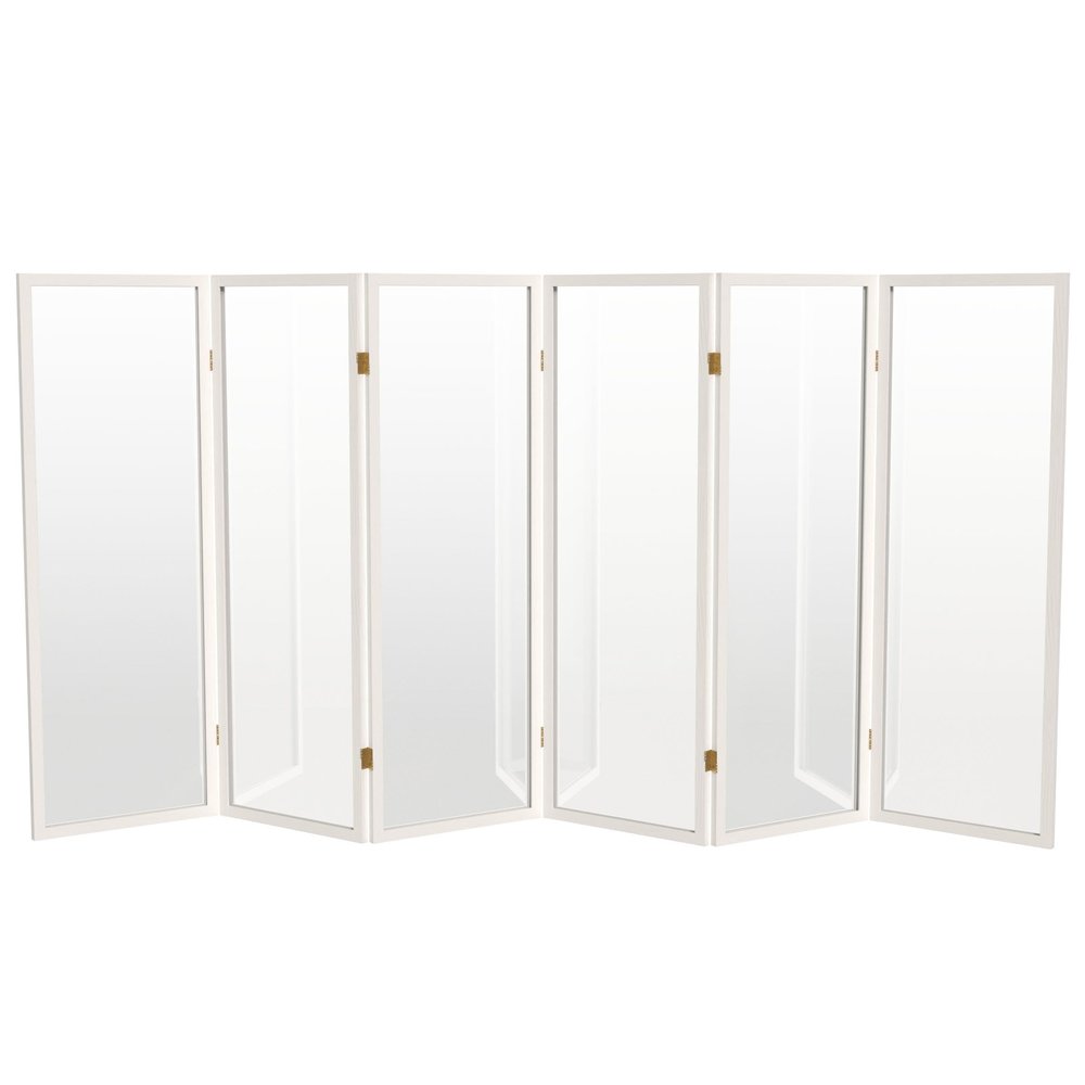 4 ft. Short Clear Plastic Partition White 6 Panel