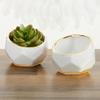 Kate Aspen Geometric Ceramic Planters, Mini Decorative Bowls (Set of 3) Small- Succulent Pots, Modern Decor, Shelf Decor, Desk, Table Dcor, White view 2