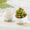 Kate Aspen Geometric Ceramic Planters, Mini Decorative Bowls (Set of 3) Small- Succulent Pots, Modern Decor, Shelf Decor, Desk, Table Dcor, White view 4