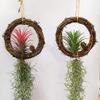 NUOBESTY Nativity Crafts 3pcs Grapevine Wreath, Rattan Garlands Vine DIY Craft Hanging Ornament for Door Window Holiday Party Thanksgiving Decoration Grapevine Wreath view 2