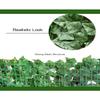 Artificial Ivy Privacy Fence Screen Artificial Hedges Panels Fake Grass Wall Greenery Wall Very Nice Balcony Decoration(1.5x10m/4.92x32.81ft) view 3