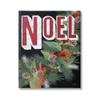Stupell Industries Vintage Noel Text Snow Dusted Botanicals Pinecones, Design by Heidi Kuntz view 1