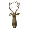 AnsonBoy Bronze Resin Animal Head Carving Glasses Wall Mount Home Decor view 2