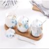 Kitchen Spice Tool Ceramic Spice Jar Seasoning Box Seasoning Bottle Jar Seasoning Bottle view 1