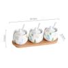 Kitchen Spice Tool Ceramic Spice Jar Seasoning Box Seasoning Bottle Jar Seasoning Bottle view 2