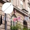 DOITOOL Long Reach Hook 50.4 Extended Closet Pole with Hook, Long Reach Stick Closet Pole Telescoping Long Pole for Clothes, Shutter, Closet, Curtain, Shelf, Ceiling (Sliver) view 2