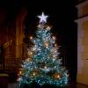 LAMPHOME Christmas Tree Topper DG (8.3 Inch 31 LED Twinkling White) view 4