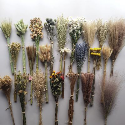 23 Kinds of 100% Natural Dried Flowers (O)