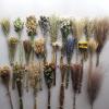 23 Kinds of 100% Natural Dried Flowers (O) view 1