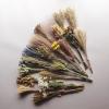 23 Kinds of 100% Natural Dried Flowers (O) view 3