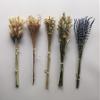 23 Kinds of 100% Natural Dried Flowers (O) view 4