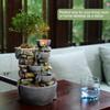 Haobos Indoor Fountain 4-Bowl Rockery Soothing Sound Tabletop Fountains Home/Office Decor Gift for Mom,Mother Day Present with A Small Plastic Pot to Grow Plant/Hebs by Yourself (Automatic Watering) view 3