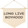 Boys Room Decor, Long Live Boyhood Banner, Baby Boy Shower Decorations, Canvas Pennant Banner Decor Gift for Toddler Boy Room Nursery Playroom view 1