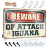 Metal Signs Funny Beware of Attack Iguana Sign Porch Decor Outdoor Tin Sign ( Size : 20X30CM ) view 1