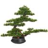 Artificial Plants Display Tree Simulation Bonsai Tree Chinese Style Welcome Pine Indoor Potted Bonsai Plant Decoration Zen Dry Landscape Ornaments Home Office Hotel Decor Book Shelf Decor Ornaments view 1