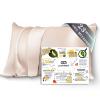 PROMEED 100% Mulberry Silk Toddler Pillowcase 13x18, Both Sides 23 Momme Grade 6A+ Silk Pillow Case Travel Size with Laundry Bag (Toddler/Travel-13 x18, Champagne) view 1