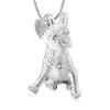 SHEIL Dog Urn Necklace for Ashes Pendant Keepsake Pet Jewelry for Urns Holder Dogs Cats Ashes Memorial Cremation Jewelry view 1