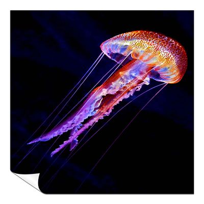 Panther Print Fine Art Prints Colorful Glowing Jellyfish underwater Artistic Unframed Poster, Pictures for Home Walls, Bedroom, Living Room & Bathroom Decor 76x51cm (30x20in)
