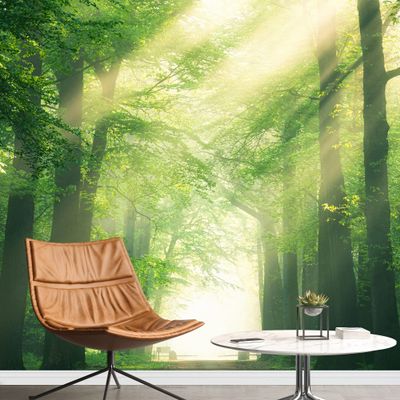 SIGNFORD Removable Wall Sticker/Wall Mural Sunlight Spring Summer Forest Trees Nature Wilderness Photography Realism Rustic Farmhouse/Country Decorative for Living Room, Bedroom, Office - 100"x144"