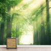 SIGNFORD Removable Wall Sticker/Wall Mural Sunlight Spring Summer Forest Trees Nature Wilderness Photography Realism Rustic Farmhouse/Country Decorative for Living Room, Bedroom, Office - 100"x144" view 3