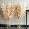 40" inch 10 Stems Natural Pampas Grass Decor Tall, pompas Grass, Tall Pampas Grass for Wedding, Party, Farmhouse, Boho Home Decor view 1