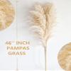 40" inch 10 Stems Natural Pampas Grass Decor Tall, pompas Grass, Tall Pampas Grass for Wedding, Party, Farmhouse, Boho Home Decor view 3